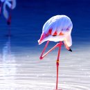 과학이야기1 이미지