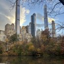 야, 너도 자산 관리 할 수 있어 | 뉴욕 센트럴파크 울먼 아이스링크 스케이트 2025 방문 후기 가격 이용방법