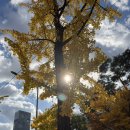 540 | 쏘카 강릉 당일치기 - 540km 달린 후기