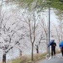 17도 이미지