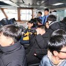 완도19호 이미지