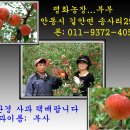 평화농장 이미지