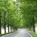 쌍둥이 펜션 이미지