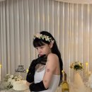 지민 카카오 검색결과