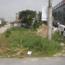 태성MOTORS Daum카페