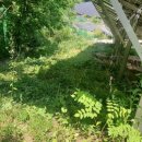 무성햇빛발전소 이미지