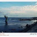 고양이는외계인 이미지