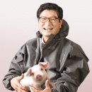 코리아양돈 이미지