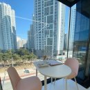 머뭄 애견유치원 이미지