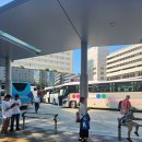 조이풀빌리지 | 일본 후쿠오카 버스투어 내돈내산 (유후인 다자이후 뱃부)