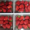 이재현농장 이미지