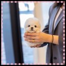 동탄순환대로14길 이미지