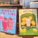 채플린 | 기장 바다가 보이는 대형 카페 추천 오션뷰 채플린 솔직후기 추천