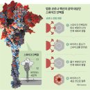 모든 종류의 코로나 바이러스에 효과가 있는 백신 개발 이미지