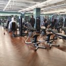 얼라이브 피트니스 이미지