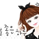 168회}8,25일 토요일 수영번개(로띠번에서티타임) 이미지