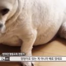 아세권 이미지