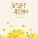 국화전시회 버스킹 문화공연 이미지