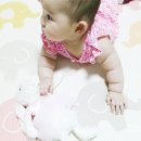 크림버니 이미지