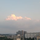 2024년 8월 12일 ~ 8월 25일