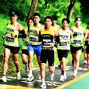 제22회 강남국제평화 마라톤(2025.10.03 삼성1동 주민센터) 이미지