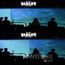 시네마월드 트래블바이크뉴스