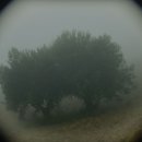 2023-03-0061-03