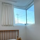 애견의 정원 이미지