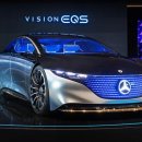 비젼(229) 이미지