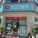 365데이명품안경아울렛 | 여기, 사은품과 할인이 한가득 이가격과 사은품이라니!! 으뜸안경아울렛 수원구운점 선글라스 득템 후기