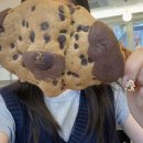 아띠퍼피 | 녹사평 카페 해피퍼피하우스