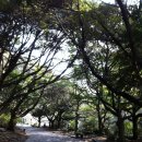 하우스 라퓨타 이미지