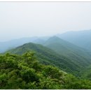 천성산 이미지