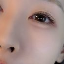 분당속눈썹 | 뷰티나라 속눈썹펌 후기, 컬 유지력까지 만족