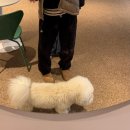 독트럴파크 이미지