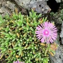 문개항아리펜션 이미지