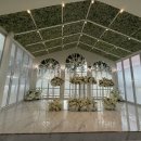 평택시 배다리저수지1 | 평택 JnJ아트컨벤션 웨딩홀 상담 후기💍 (제이포레 vs 카넬리안노아 비교)