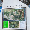 산소길 | 홍천여행 수타사산소길 겨울 트레킹 후기(24년12월)