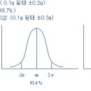 동일중량