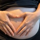 (주)부농군산지점 | 쌍둥이 군산 산후도우미 조은맘 / 친정맘 신청 및 업체 변경 후기
