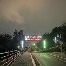 돌산공원 내 도로 이미지
