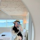 쉼표고성 이미지