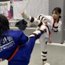 푸른하늘태권도장 이미지