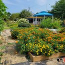 충의농장 이미지