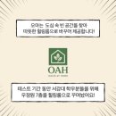 상용농장 | 18학번 김기삼의 8학기 후기