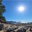미역쿠키만들기 체험 투어코리아