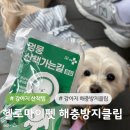유담몰 | 다이소꿀템 강아지산책 필수템 강아지해충방지 클립 추천 헬로마이펫 멍뭉 산책가는길