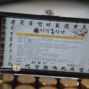 홍삼월드플러스