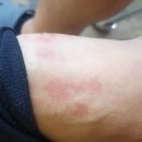 송안과의원 이미지