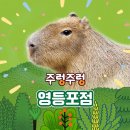 8개월 아기랑 <주렁주렁> 동물원 영등포점 관람 후기